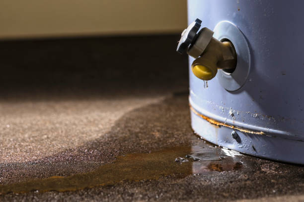 Best Water damage restoration near me  in White Oak, MD