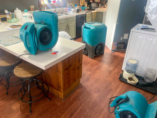 Water damage restoration experts in White Oak, MD