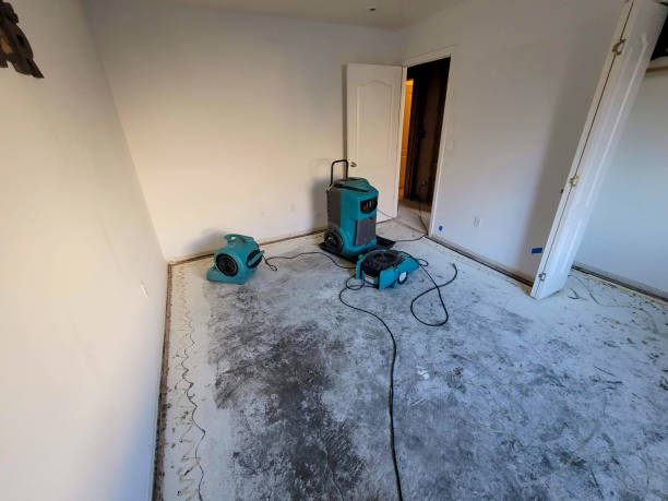Best Mold removal after water damage  in White Oak, MD
