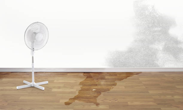 Best Water damage restoration experts  in White Oak, MD