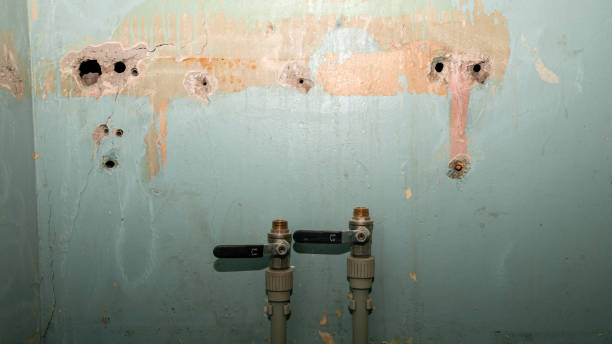 Best Water damage restoration services  in White Oak, MD
