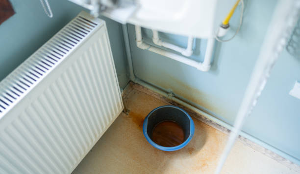 Best 24/7 water damage repair  in White Oak, MD