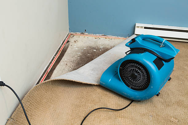 Best Water damage repair service  in White Oak, MD