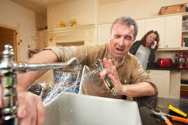 Best Flood damage cleanup  in White Oak, MD